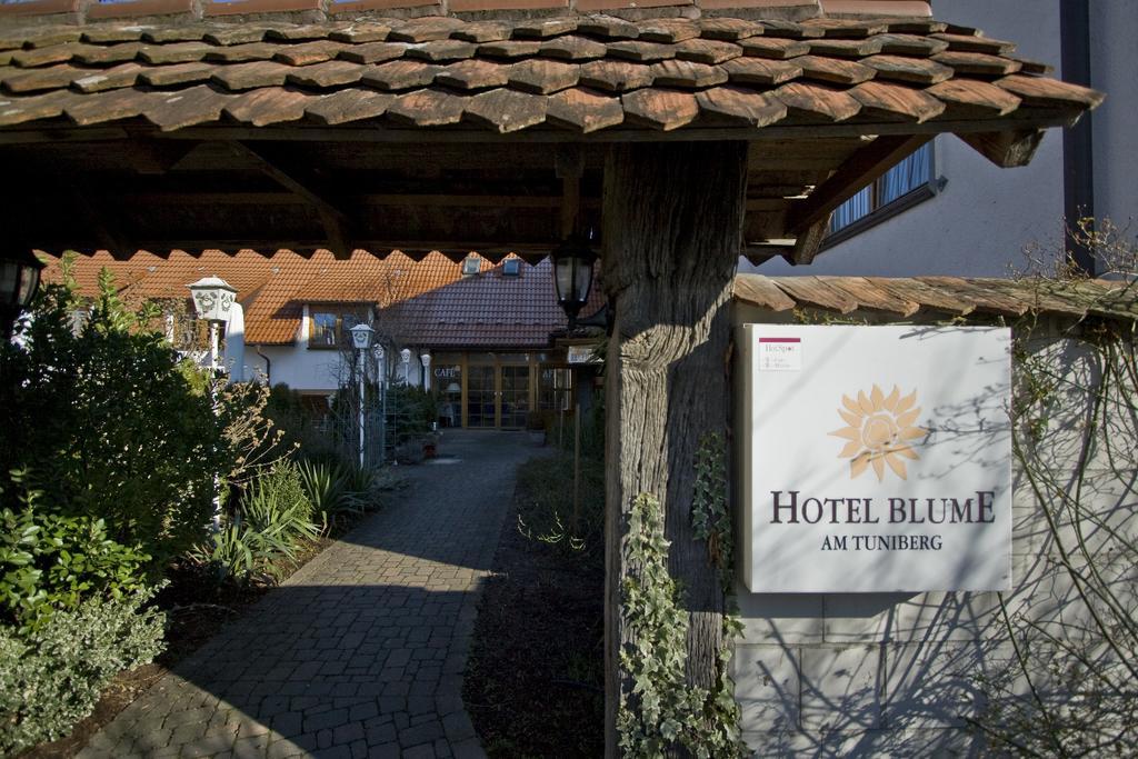 Blume Hotel Freiburg im Breisgau